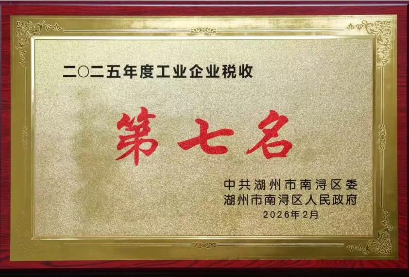 載譽(yù)啟新程 | 巨人集團(tuán)榮獲南潯區(qū)多項(xiàng)表彰