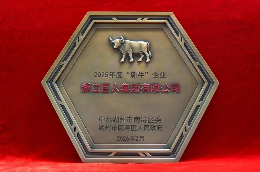 載譽(yù)啟新程 | 巨人集團(tuán)榮獲南潯區(qū)多項(xiàng)表彰