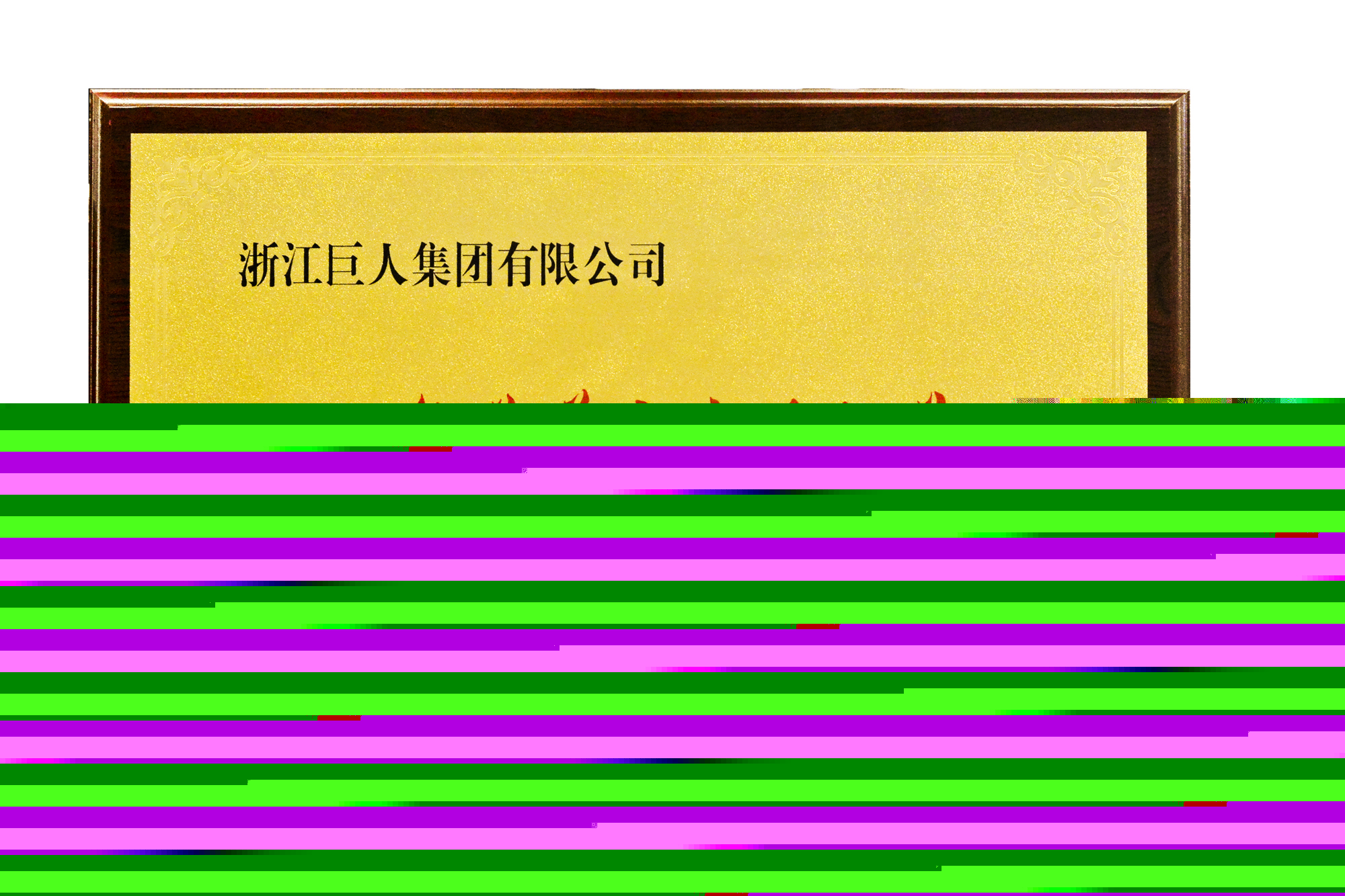▲“2020年慈善突出貢獻(xiàn)單位”獎(jiǎng)牌